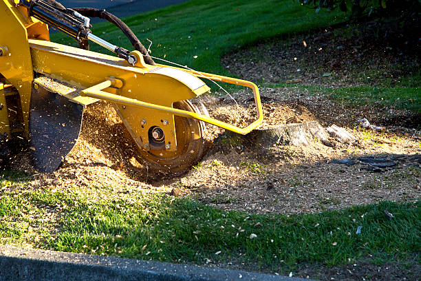 Artificial Turf Installation in Nassau Village Ratliff, FL